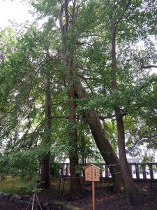 重蔵神社