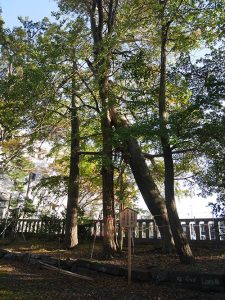 重蔵神社