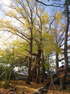 重蔵神社