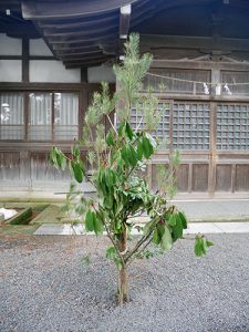 重蔵神社