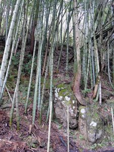 安波賀春日神社