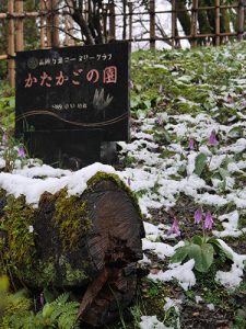 射水神社