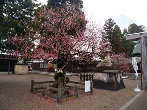 射水神社