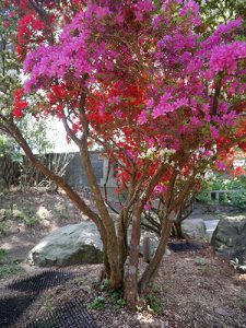 重蔵神社