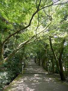 白山比咩神社