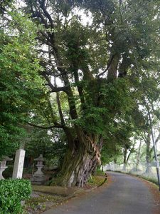 阿志都彌神社行過天満宮