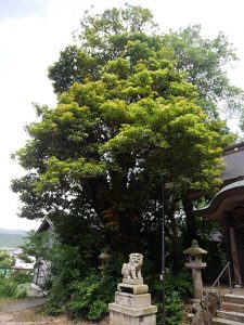 香取五神社