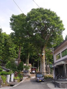 下塩津神社