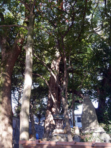 別小江神社