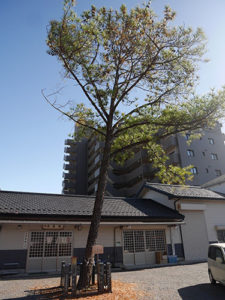 別小江神社