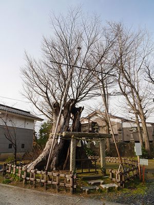 有磯正八幡宮