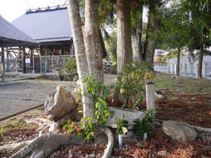 城崎神社