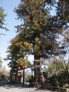 鍬山神社