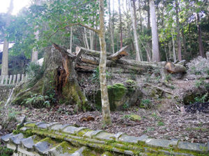 宮川神社