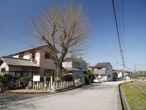 篠村八幡宮