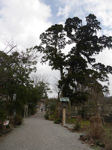 櫛田神社