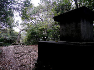 丸山神社