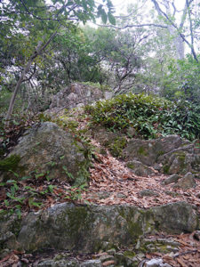 丸山神社