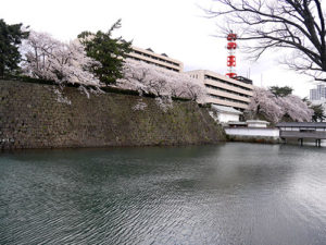 福井神社