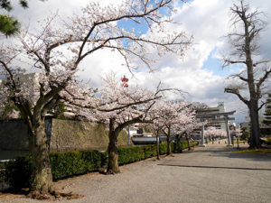 福井神社