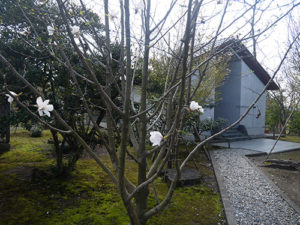 櫛田神社