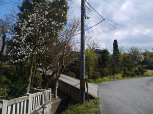 櫛田神社