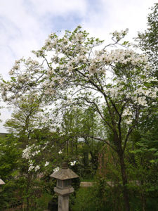 櫛田神社