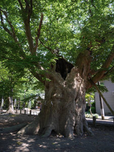 金峯神社