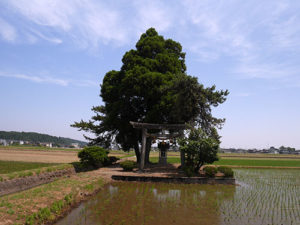 白鳥神社