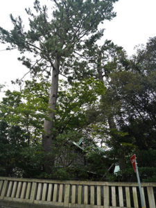 菟橋神社