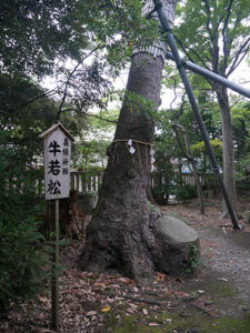 菟橋神社