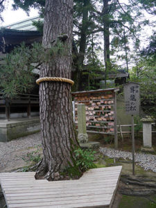 菟橋神社