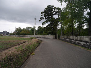 櫛田神社