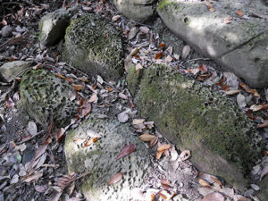 須須神社金分宮