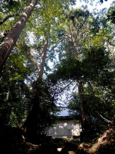 須須神社金分宮