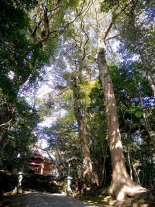 須須神社高座宮