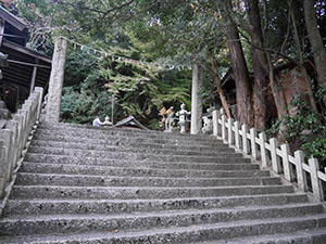 朝代神社