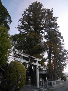 荒井神社