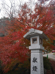 出雲大神宮