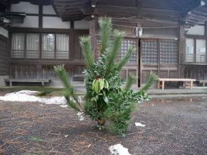 重蔵神社