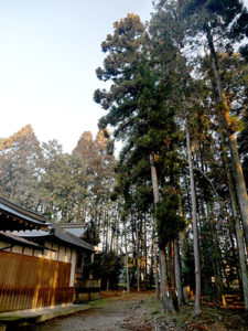 縣主神社