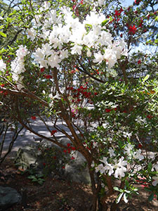 重蔵神社