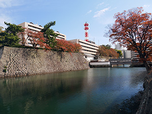 福井神社