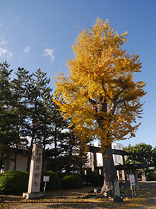 福井神社