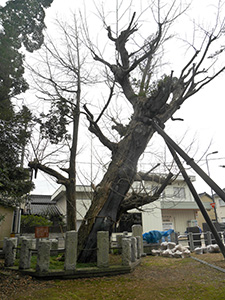 布市神社