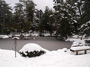 金沢神社