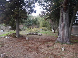近江甲賀　柏木神社
