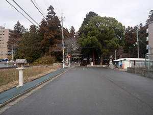 近江甲賀　柏木神社