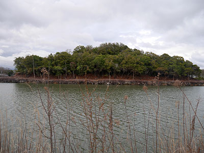 宇和奈辺陵墓参考地