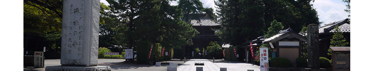 気軽に御朱印集めの旅　寺院篇